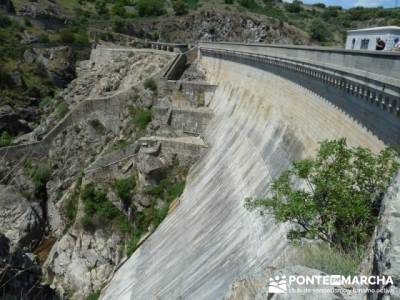 Senda Genaro - GR300 - Embalse de El Atazar - Embalse de Puentes Viejas - Presa de El Villar